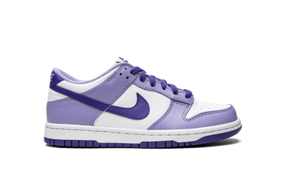 Dunk Low GS "Blueberry" DZ4456 100