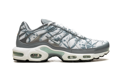 Air Max Plus "Waterway" FV0394 300