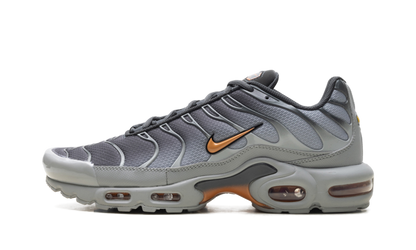 Air Max Plus "Light Smoke Grey Hot Curry" DM0032 037