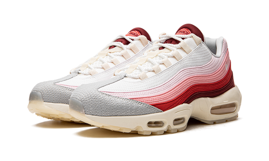 Air Max 95 QS "Anatomy of Air" DM0012 600