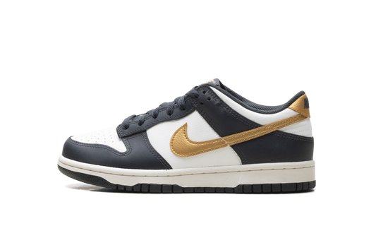 Dunk Low GS "Summit White Metallic Gold" HV2533 100