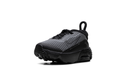 Air Max 2090 TD "Black Wolf Grey" CU2092 001