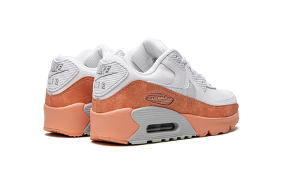 Air Max LTR 90 GS "White Light Madder Root" DM0956 100