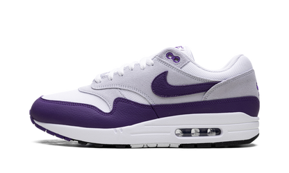Air Max 1 SC "Field Purple" DZ4549 101