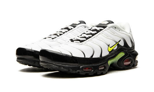 Air Max Plus "Retro Future" AJ2013 100