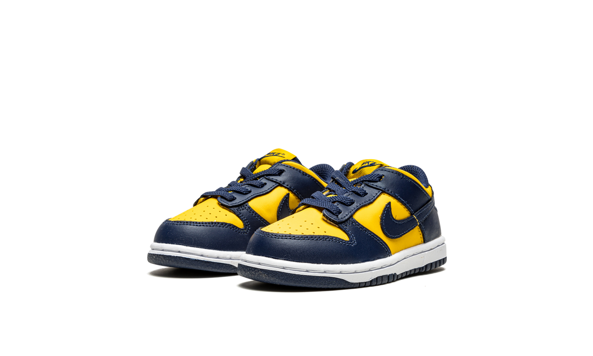 Dunk Low TD "Michigan" CW1589 700