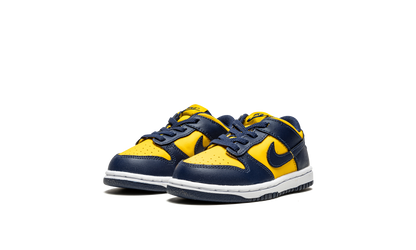 Dunk Low TD "Michigan" CW1589 700