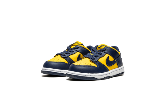Dunk Low TD "Michigan" CW1589 700